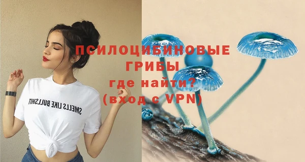PSILOCYBIN Волосово