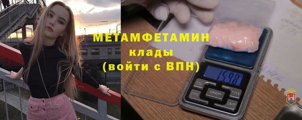 индика Володарск