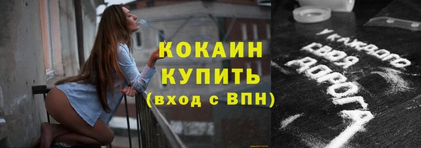 индика Володарск