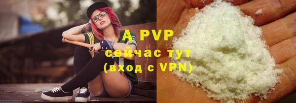 индика Володарск