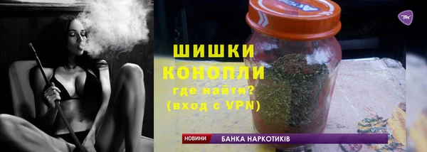 индика Володарск