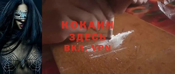 PSILOCYBIN Волосово