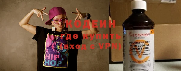 индика Володарск