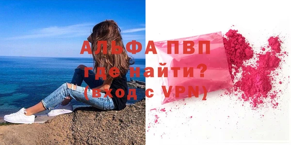 индика Володарск