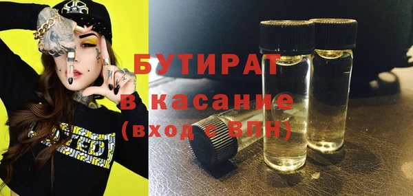 индика Володарск