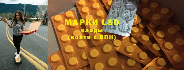 индика Володарск