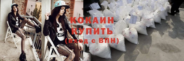 индика Володарск